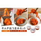 加工品等 キムチ キムチのシオン 絶品 セット_A0112-014