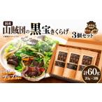 乾物 山賊団の黒宝きくらげ 肉厚プルプル 20g