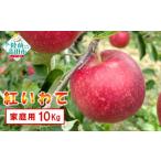 りんご あま~くてもぎたての米崎りんご 10kg