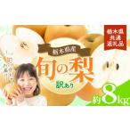 訳あり梨 約8kg