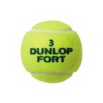 スポーツ アウトドア ダンロップ フォート 2個入