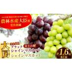 極上 プレミアム シャインマスカット 1房