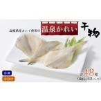 干物 産カレイ使用 温泉かれい 4尾×12パック