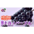 ナガノパープル 約1.3kg
