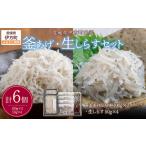 魚貝類 しらす 網元直送 釜あげ 生しらすセット