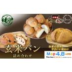 玄米パン3種セット 玄米カンパーニュ 1個