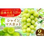 ぶどう マスカット 訳あり 規格外 シャインマスカット 2kg