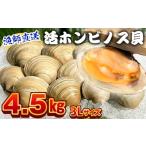 魚貝類 漁師直送 活ホンビノス貝4.5kg