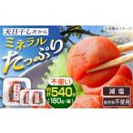 加工品等 梅干 不揃い 梅干し 計540g