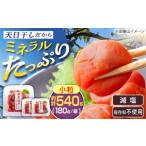 加工品等 梅干 小粒梅干し 計540g