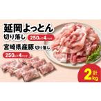 豚肉 カレー シチュー 延岡よっとん& 産豚