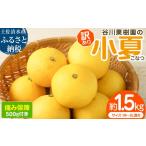 小夏 1.5kg