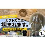 体験チケット カブトガニに挟まれるツアー