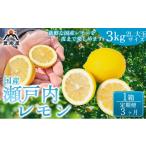 真穴のレモン 瀬戸内レモン3kg サイズ2L大玉 1箱