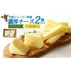 加工品等 チーズ 丹後ジャージー牧場の濃厚チーズ2種セット