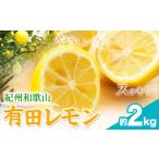 紀州和歌山 有田レモン 約2kg