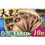 あじ開きざんまい 約100g×10枚