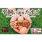 卵 鶏 烏骨鶏等 土佐ジロー10個×2P うらにわ自然たまご園