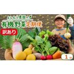 セット 詰合せ 訳あり 野菜 詰め合わせ 6種