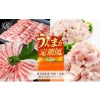 豚肉 バラ 定期便全2回 黒豚 若鶏 毎日のおかずコース