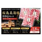 豚肉 焼肉 バーベキュー B2-0409 桜島美湯豚