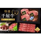 牛肉 ステーキ 特選千屋牛 ステーキ450g
