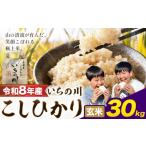 令和8年産 いちの川 コシヒカリ 玄米 30kg