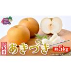 梨 つくばみらい市 訳あり あきづき 約5kg