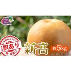 梨 つくばみらい市 訳あり 新高 約5kg