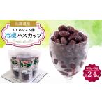 果物類 冷凍ハスカップ 300g×8袋