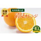 和歌山産 有田の清見 約10kg