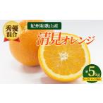 有田の清見 約5kg