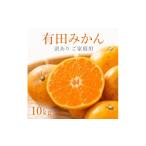 有田みかん10kg 2S~2Lサイズ混合