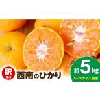 みかん 柑橘類 西南のひかり 約5kg
