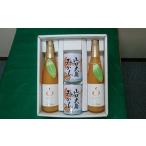 果汁飲料 みかん 島そだち セットB