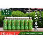お茶類 緑茶 飲料 定期便6ヵ月 お茶 さやま茶ペットボトル …