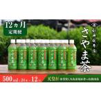 お茶類 緑茶 茶葉 ティーバッグ 定期便12ヵ月