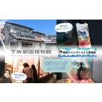 体験チケット 下田開国博物館 黒船トロンプ