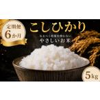 米 コシヒカリ 5kg