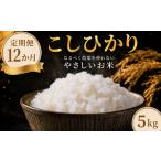米 コシヒカリ 5kg