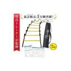 現役トレーナー監修 トレーニングラダー
