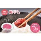 加工品等 梅干 大河原産 昔ながらのすっぱいしそ梅干し 270g