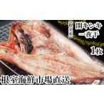 干物 G-28083 根室産 根室 市場<直送>無添加開きキン…