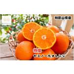 みかん 柑橘類 オレンジ 特選 セミノールオレンジ
