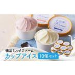 加工品等 磯沼ミルクファーム カップアイス10個セット