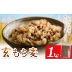 もち麦 玄もち麦 1kg