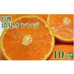 みかん 柑橘類 オレンジ 特撰 清見オレンジ
