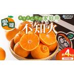 2027年3月に 出荷予定 柑橘 しらぬい