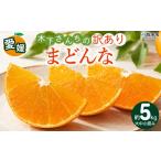 紅まどんなと同品種 2026年12月に
