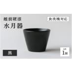 陶磁器 漆器 ガラス 高島屋選定品 越前硬漆